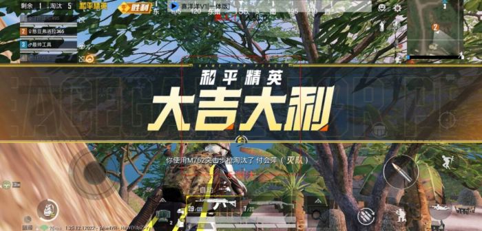 和平精英辅助软件下载苹果（如何选择信誉良好的和平精英辅助软件下载渠道？）